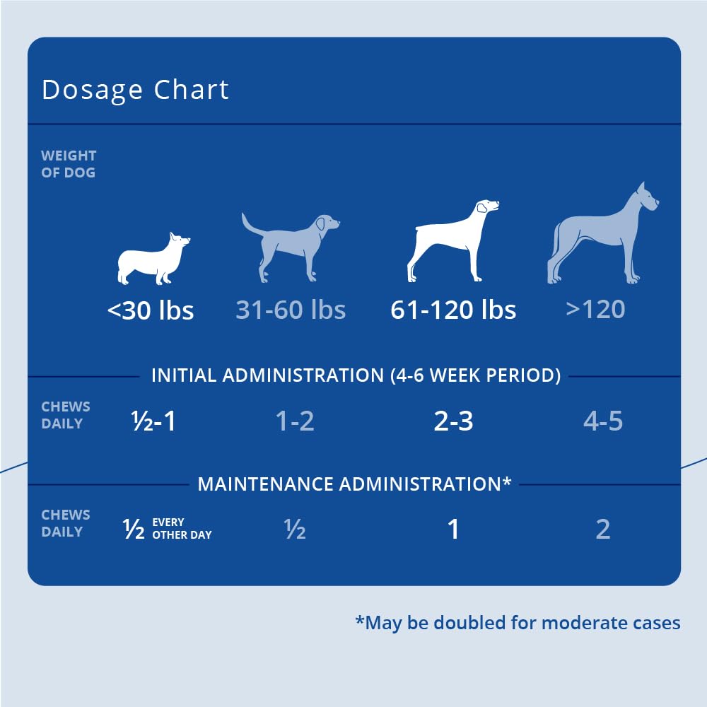 Joint Supplement Soft Chews for Dogs, 90 Chews S337289