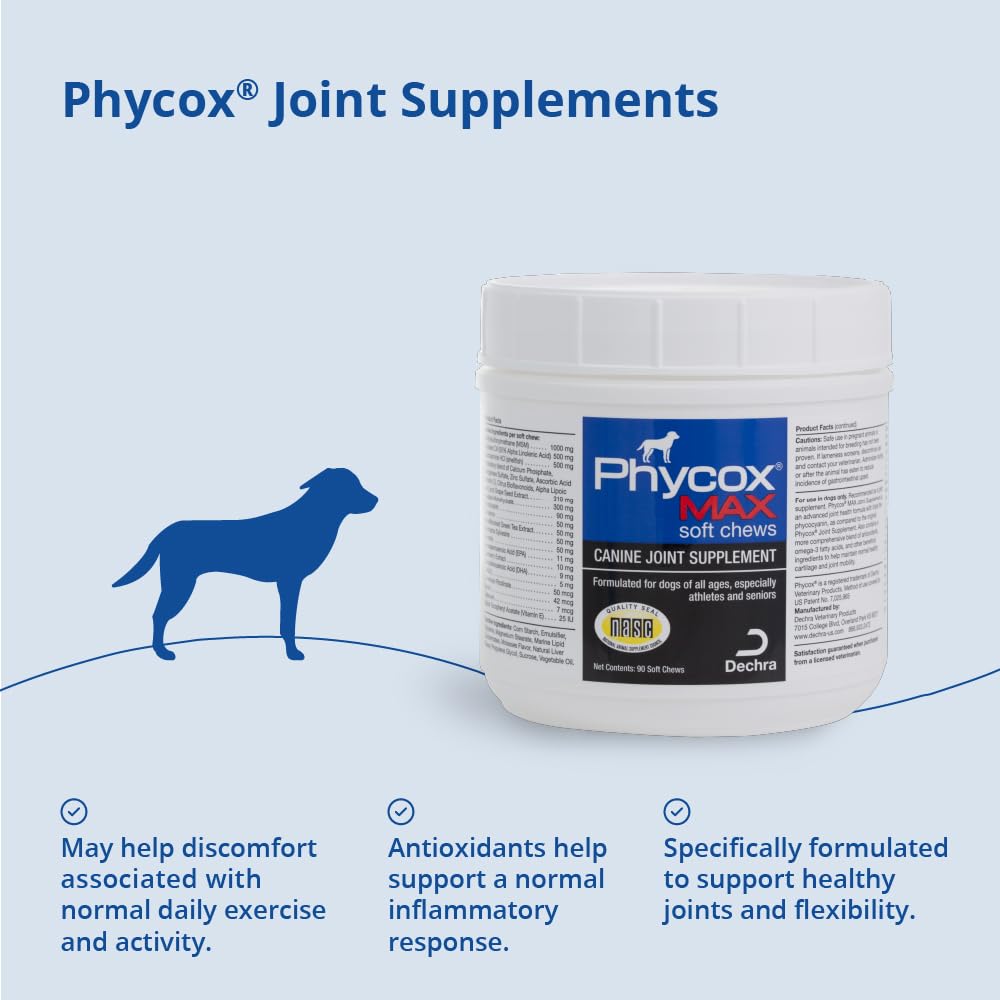 Joint Supplement Soft Chews for Dogs, 90 Chews S337289