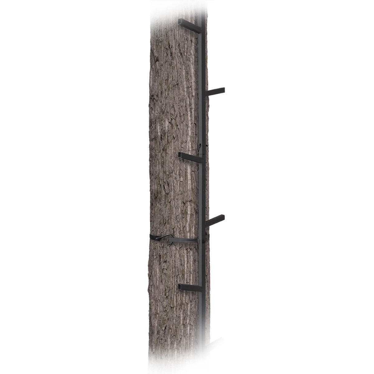 20 Feet Tall Steel Tree Climbing System (2 Pack) G55235