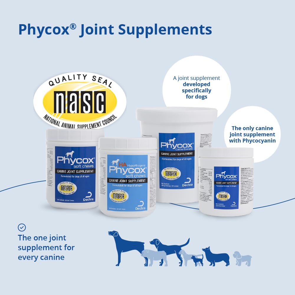 Joint Supplement Soft Chews for Dogs, 90 Chews S337289