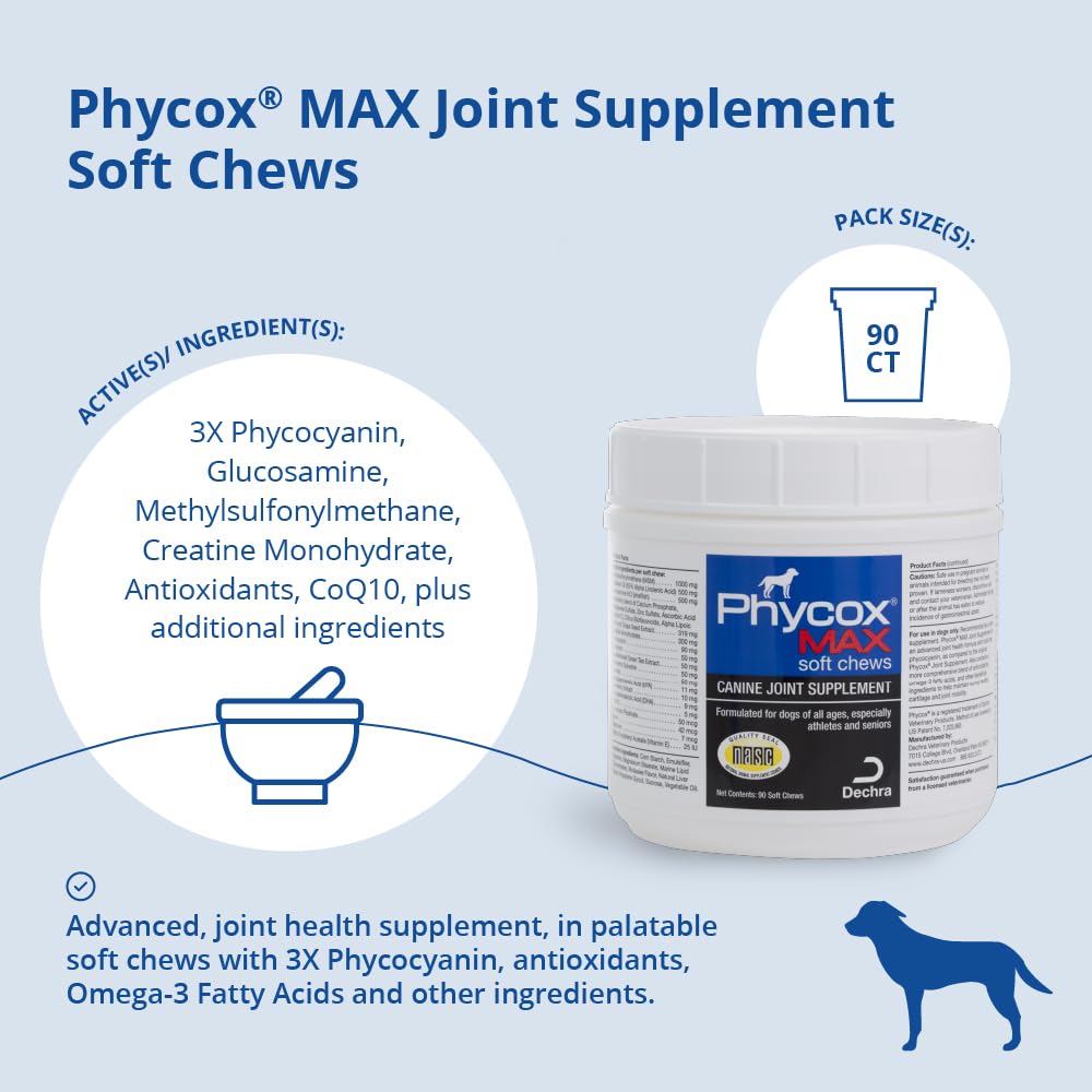 Joint Supplement Soft Chews for Dogs, 90 Chews S337289