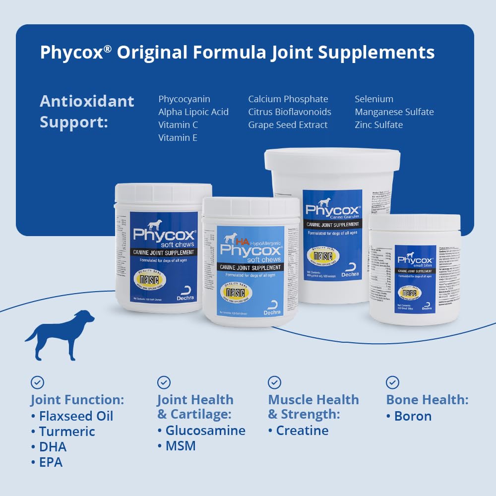 Joint Supplement Soft Chews for Dogs, 90 Chews S337289