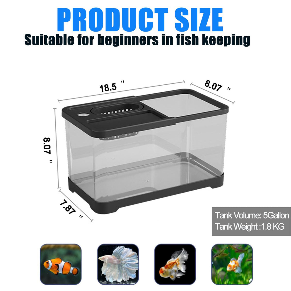 5 Gallon Plastic Fish Tank with Filter and Lid P79826