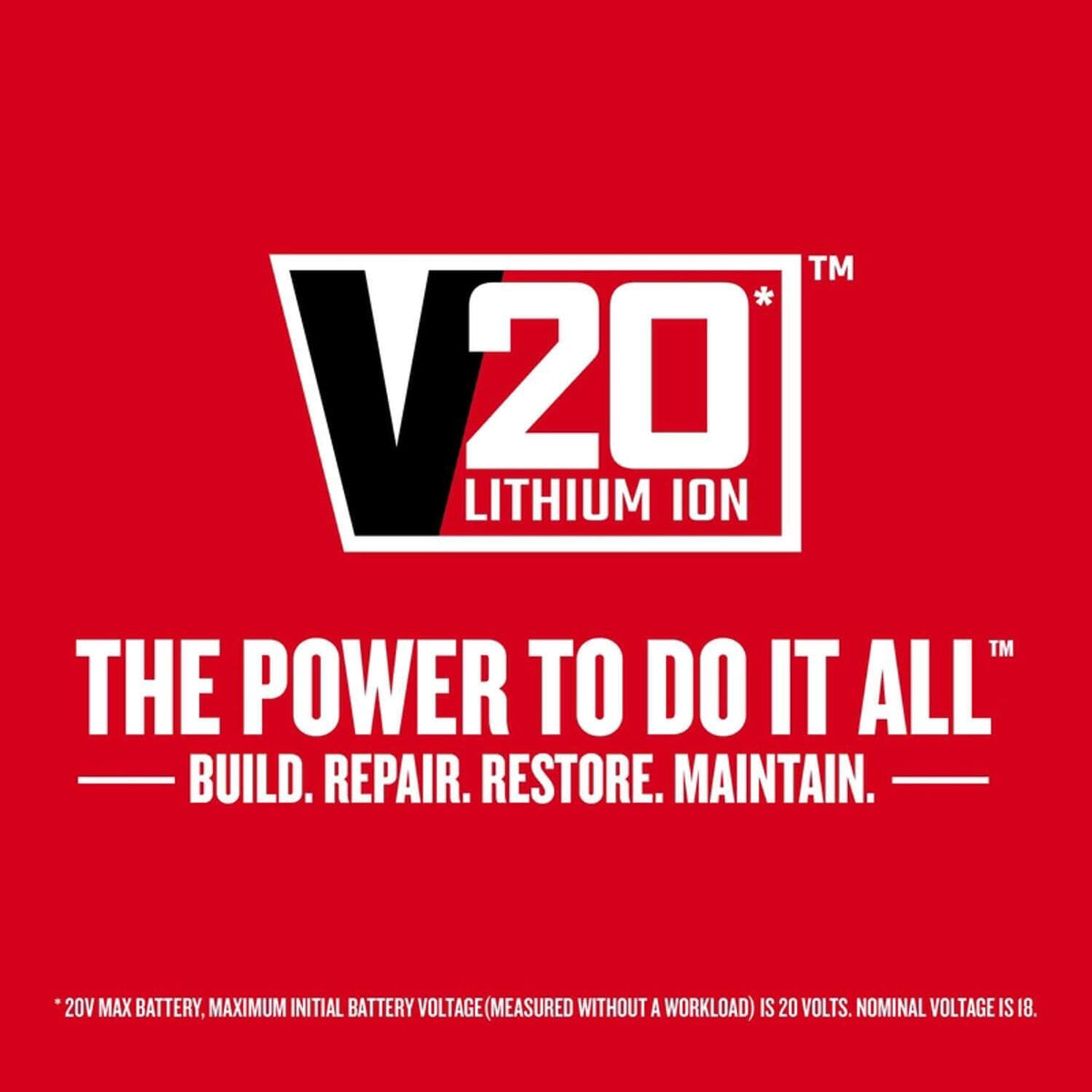 Lithium Ion Power Tool Battery 2-Pack V5390