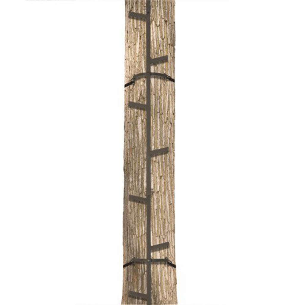 20 Feet Tall Steel Tree Climbing System (2 Pack) G55235