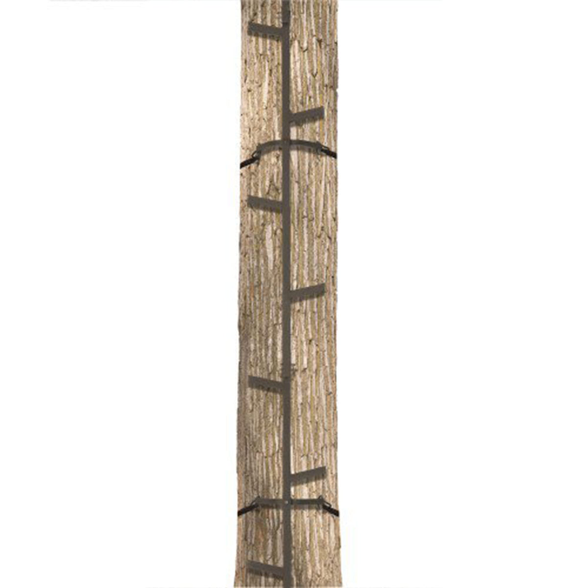 20 Feet Tall Steel Tree Climbing System (2 Pack) G55235