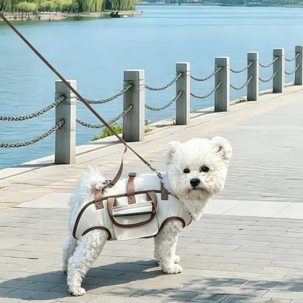 Hands Free Dog Backpack Carrier for Small Dogs, Breathable Pet Carrier with Adjustable Straps Y15089