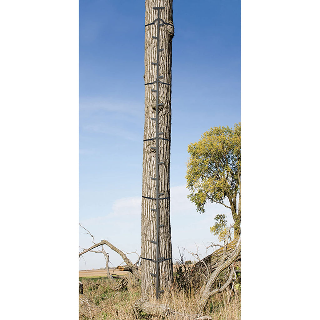 20 Feet Tall Steel Tree Climbing System (2 Pack) G55235