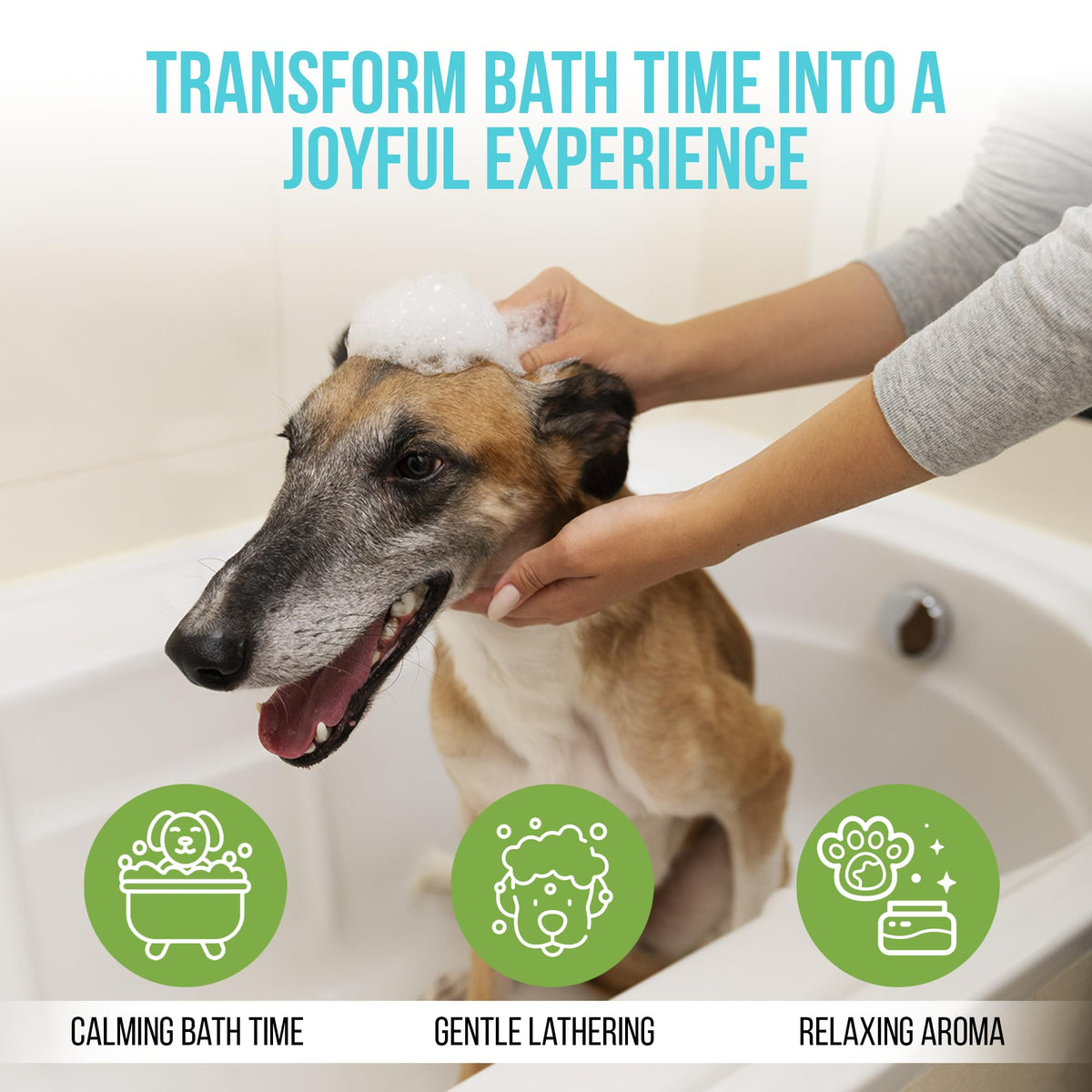 Hypoallergenic Dog Shampoo with Aloe & Oatmeal 16.9 oz F977435