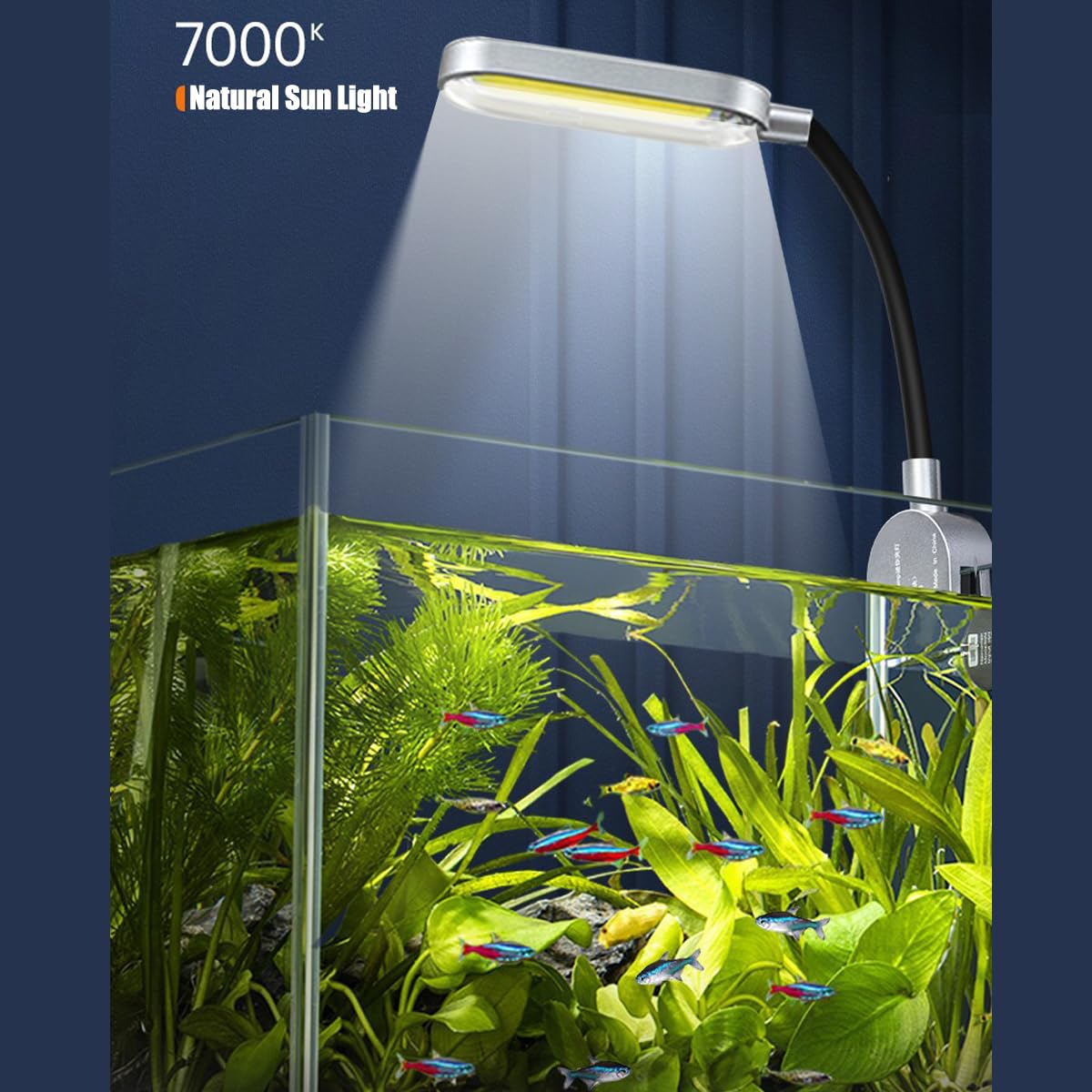 1.5 Gallon Glass Aquarium Starter Kit with Filter and LED Light P441690
