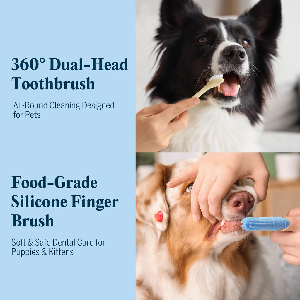 Dog Tooth Brushing Kit with 360° Toothbrush & Silicone Finger Brush X8542