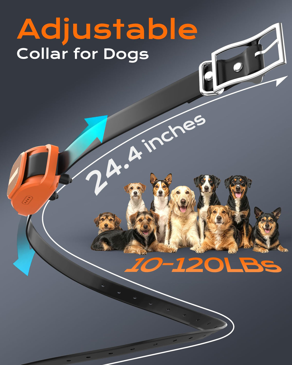 Dog Training Collar with Remote F7607