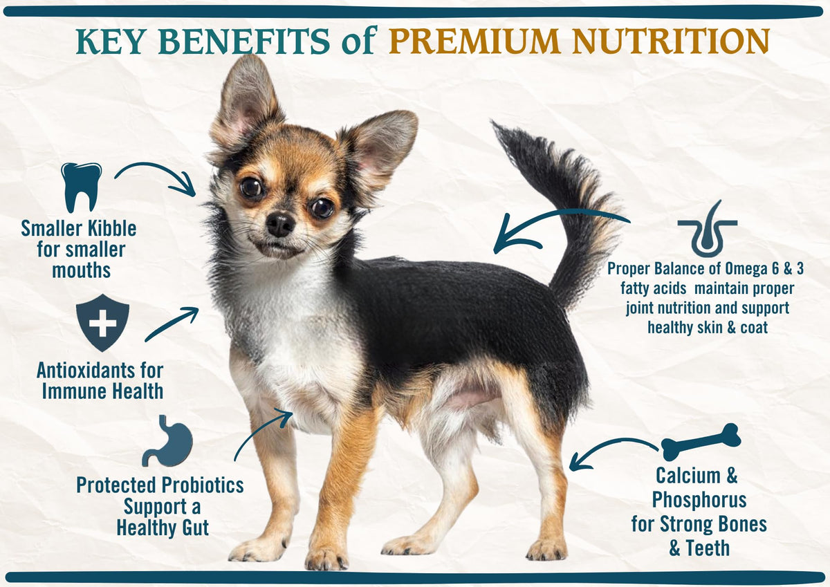 Natural Premium Small Bites Adult Dry Dog Food, Chicken, Brown Rice & Turkey 28lb S594