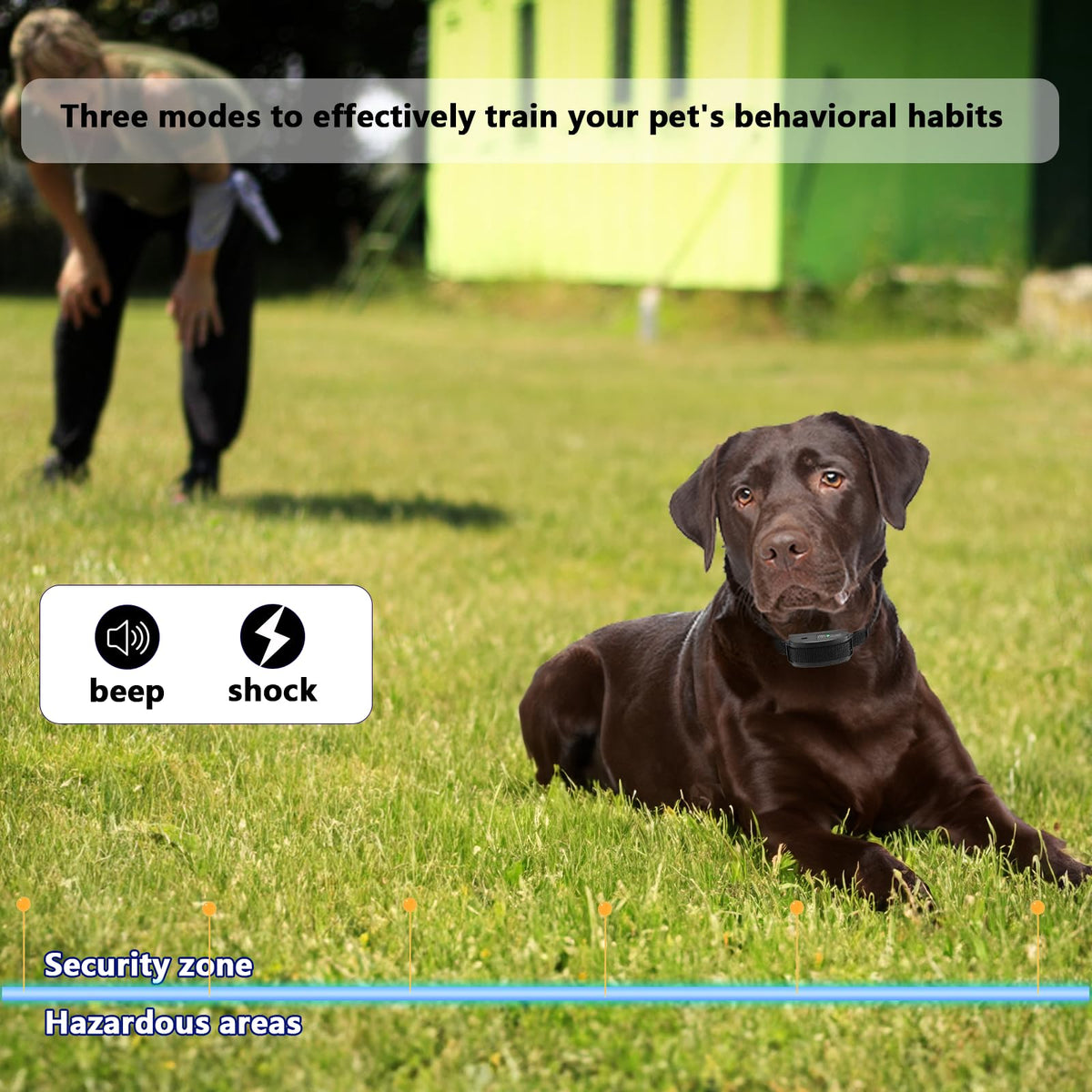 In-Ground Electric Dog Fence System with 2 Collars W520
