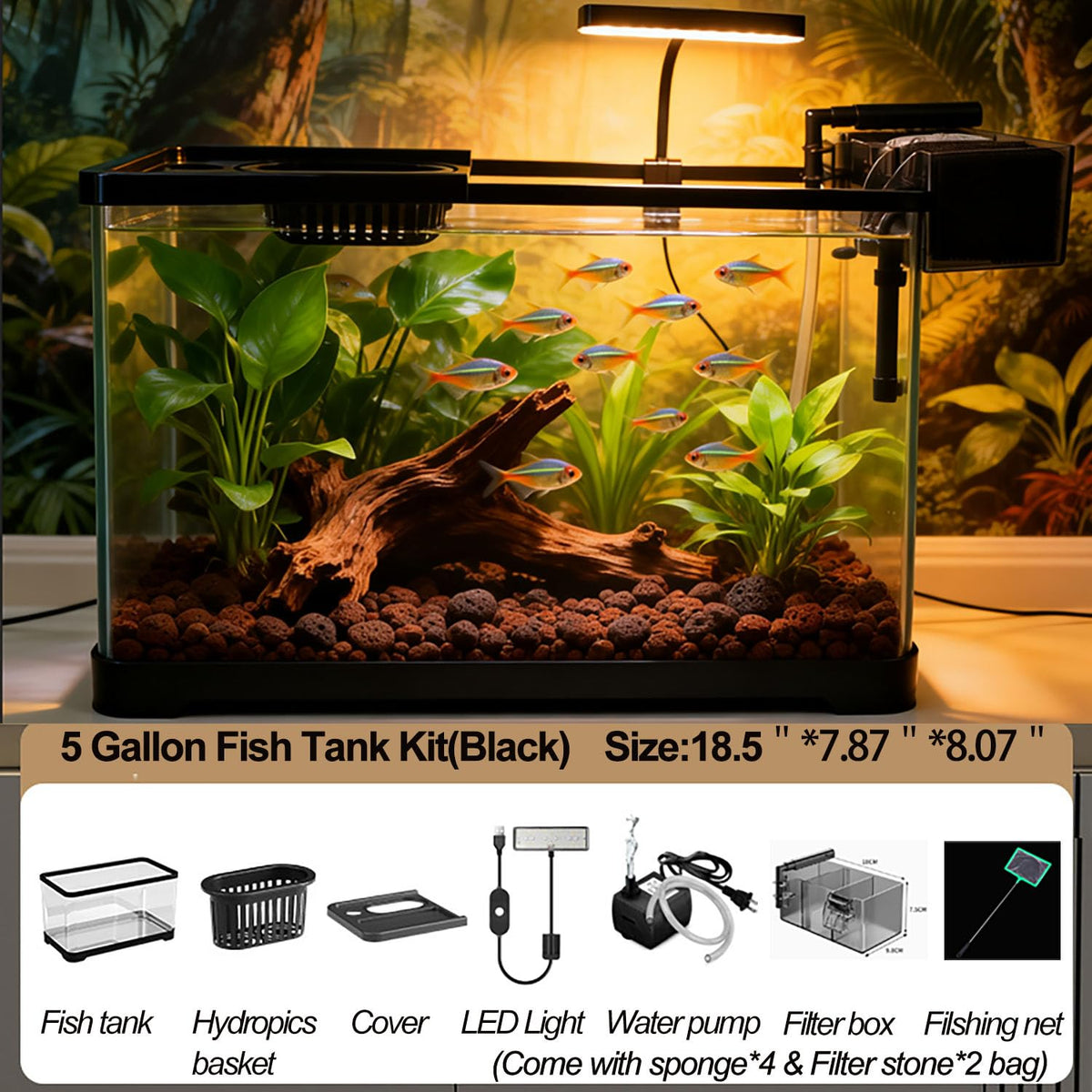 5 Gallon Plastic Fish Tank with Filter and Lid P79826