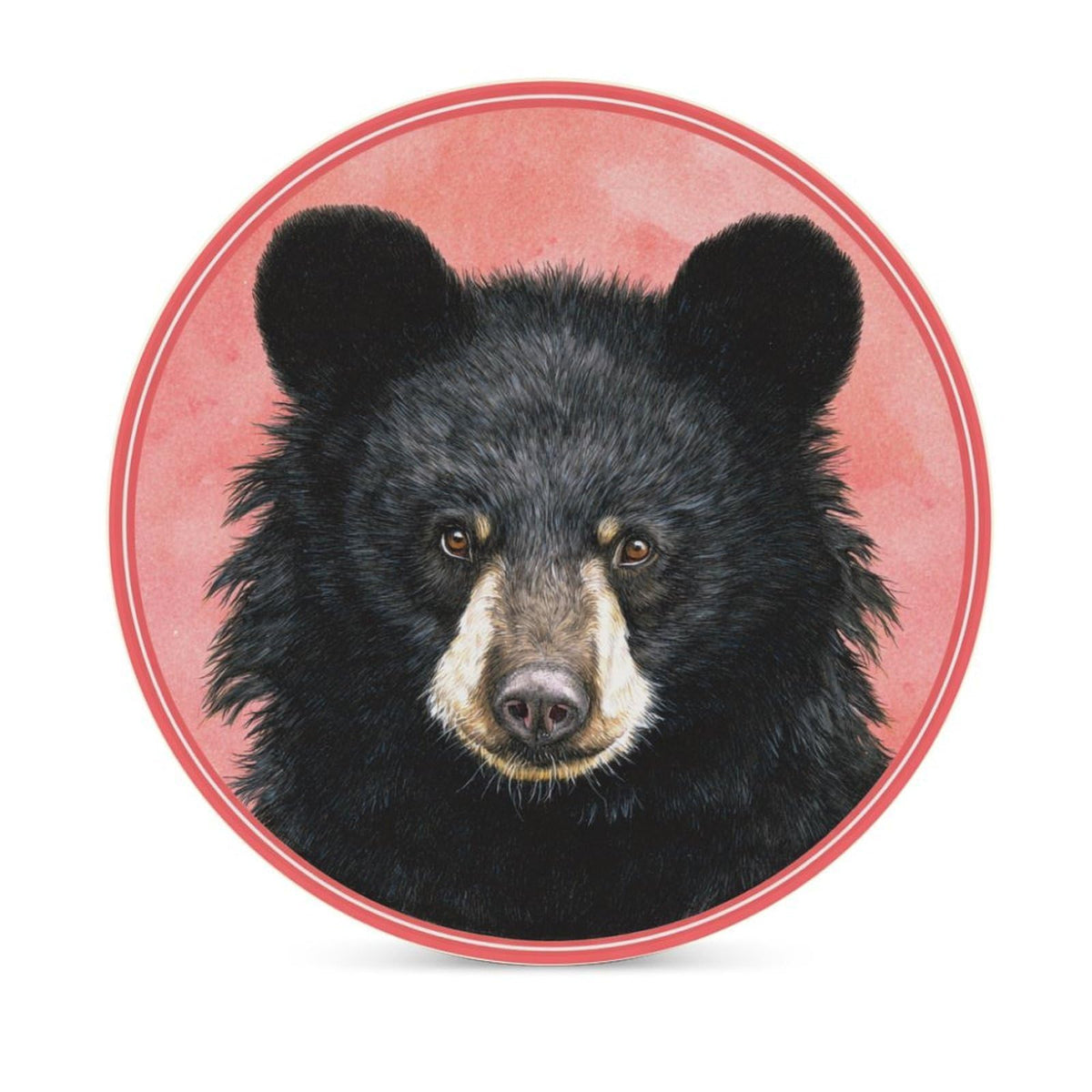 Black Bear Coasters Set of 4 E483638