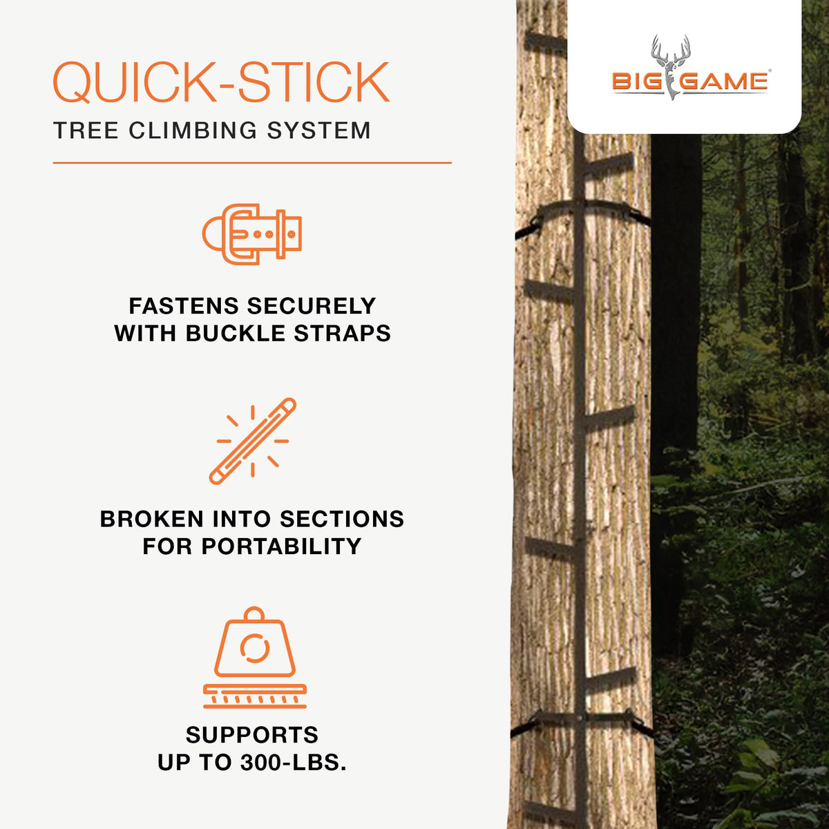 20 Feet Tall Steel Tree Climbing System (2 Pack) G55235