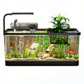 5 Gallon Plastic Fish Tank with Filter and Lid P79826