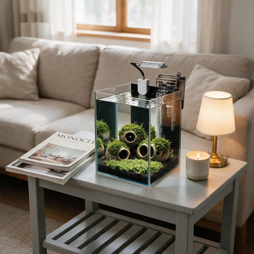 1.5 Gallon Glass Aquarium Starter Kit with Filter and LED Light P441690
