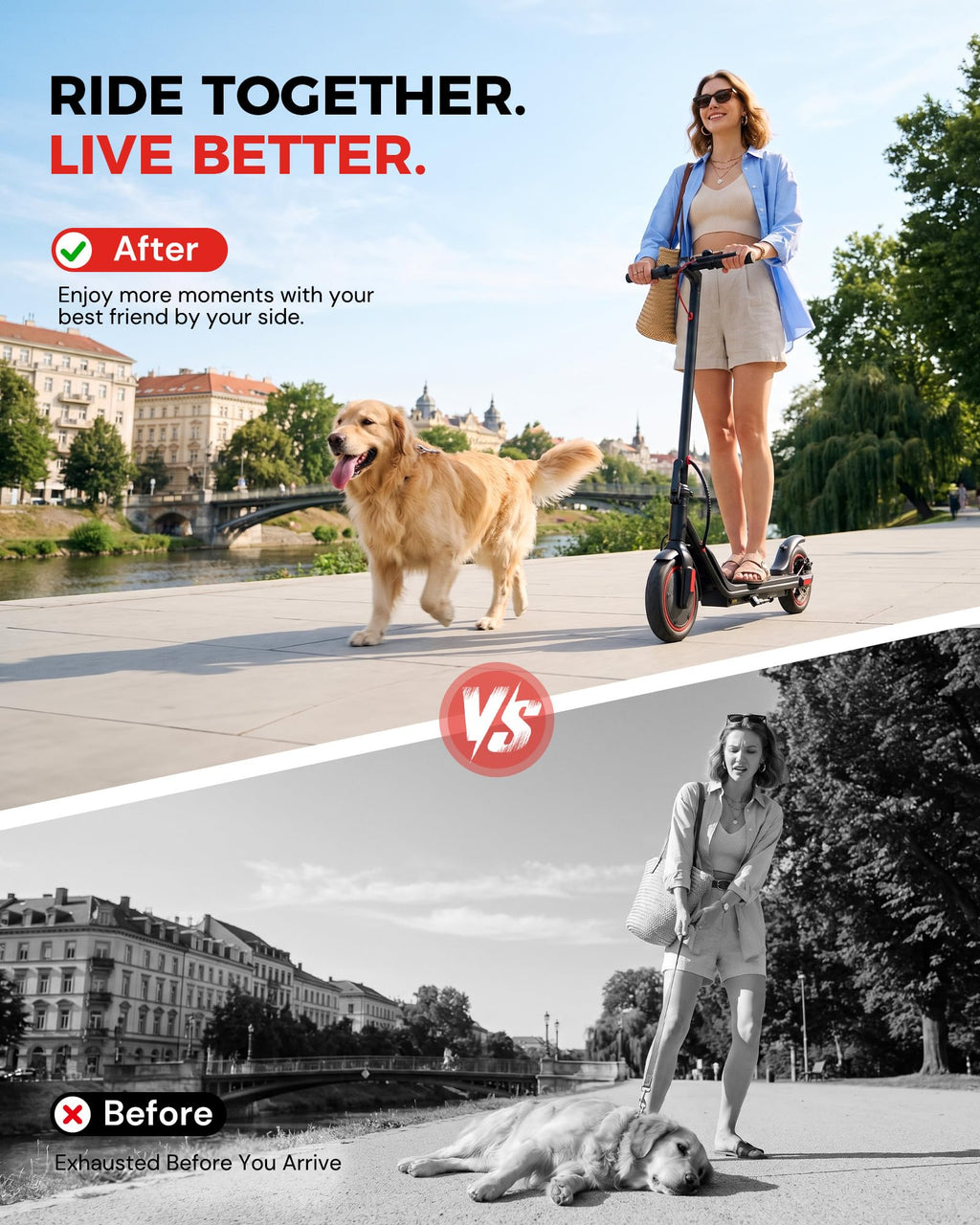 Electric Scooter D6288