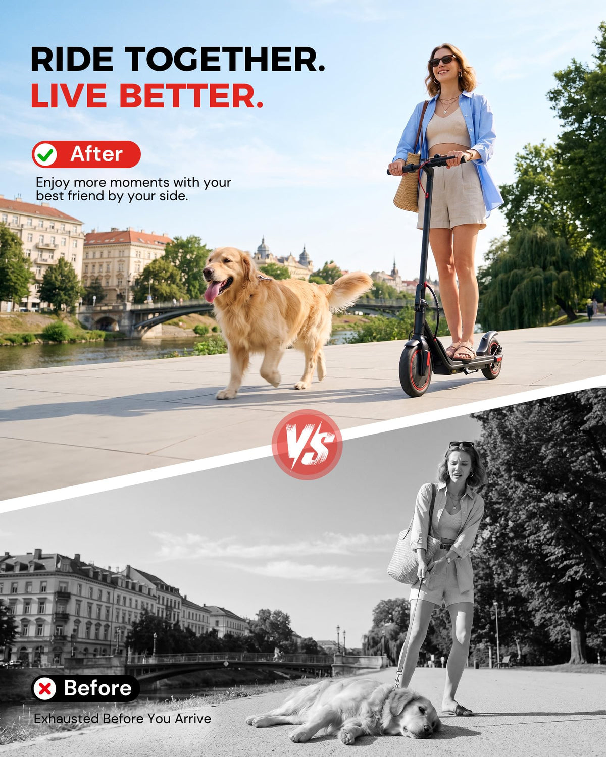 Electric Scooter D6288