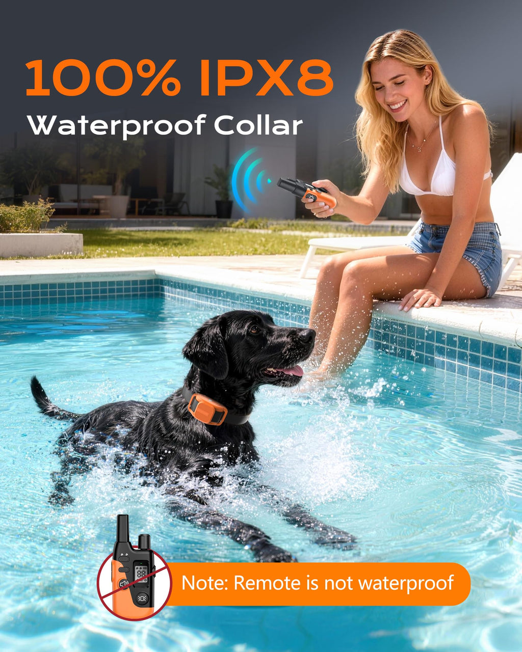 Dog Training Collar with Remote F7607