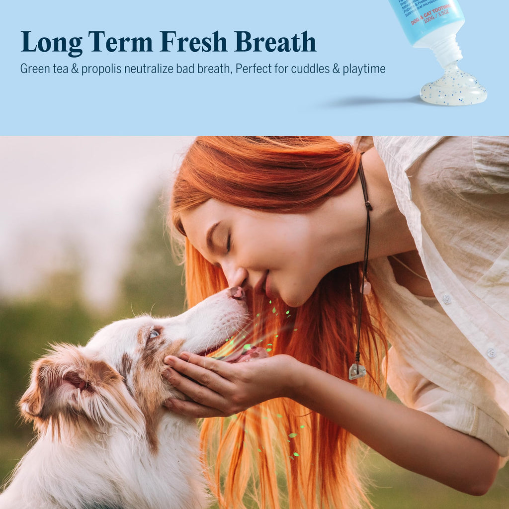 Dog Tooth Brushing Kit with 360° Toothbrush & Silicone Finger Brush X8542