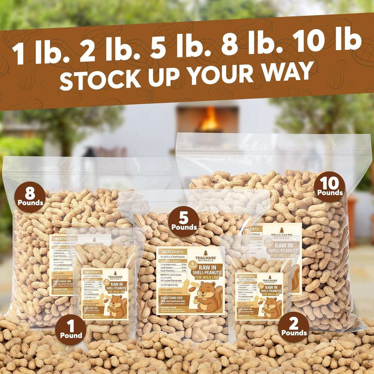 Raw Peanuts for Squirrels and Birds, 5 Pounds Total U380