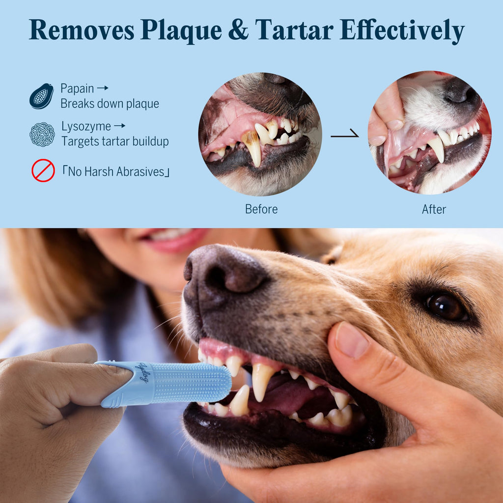 Dog Tooth Brushing Kit with 360° Toothbrush & Silicone Finger Brush X8542