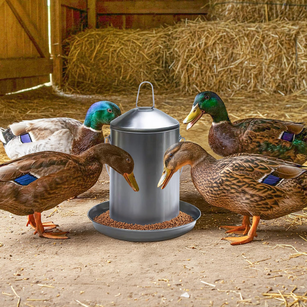 6.6 Lb Stainless Steel Hanging Poultry Feeder with 10 Gallon Storage Bucket U13711