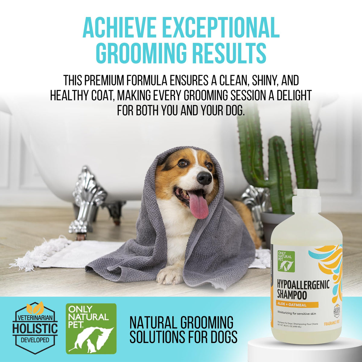 Hypoallergenic Dog Shampoo with Aloe & Oatmeal 16.9 oz F977435