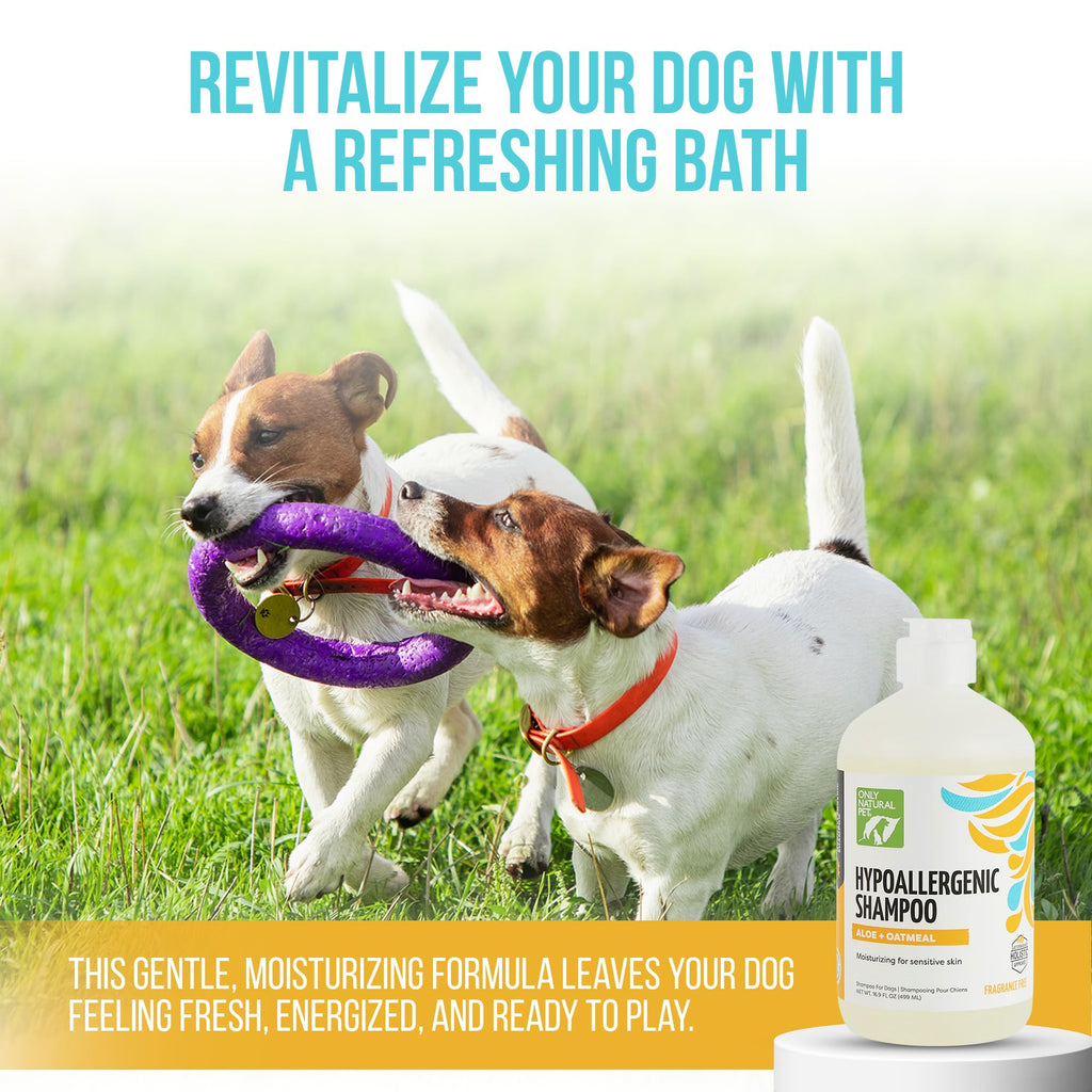 Hypoallergenic Dog Shampoo with Aloe & Oatmeal 16.9 oz F977435
