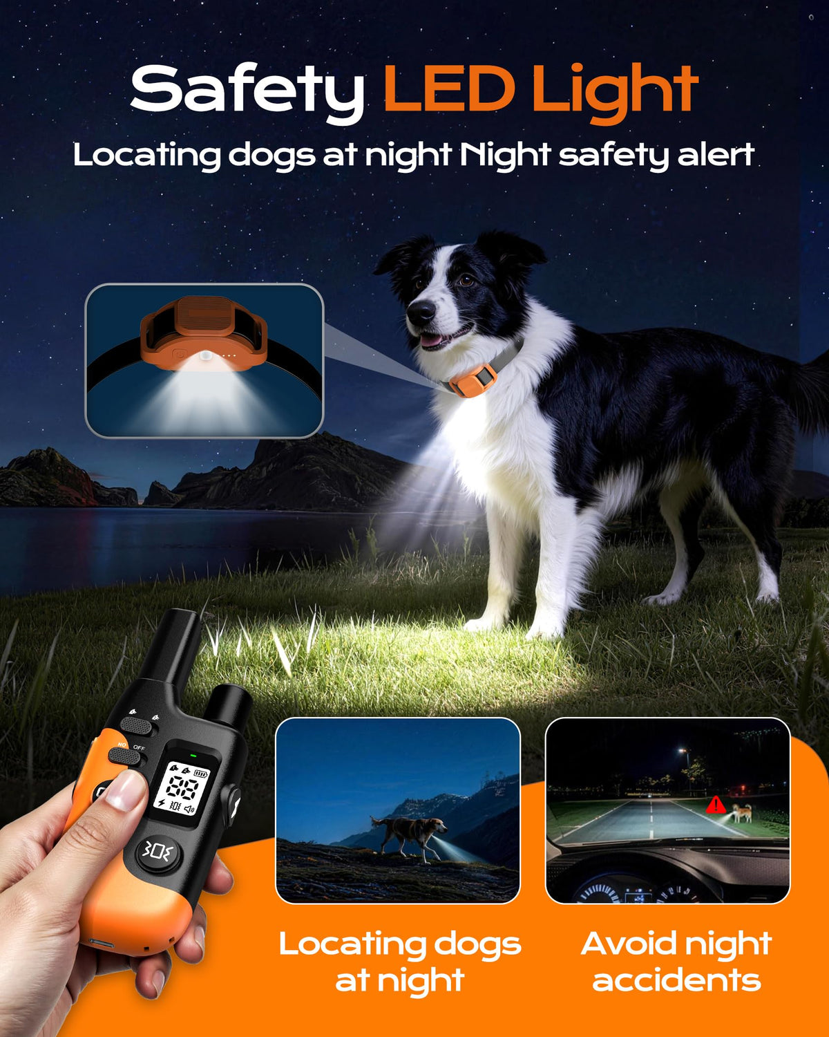 Dog Training Collar with Remote F7607