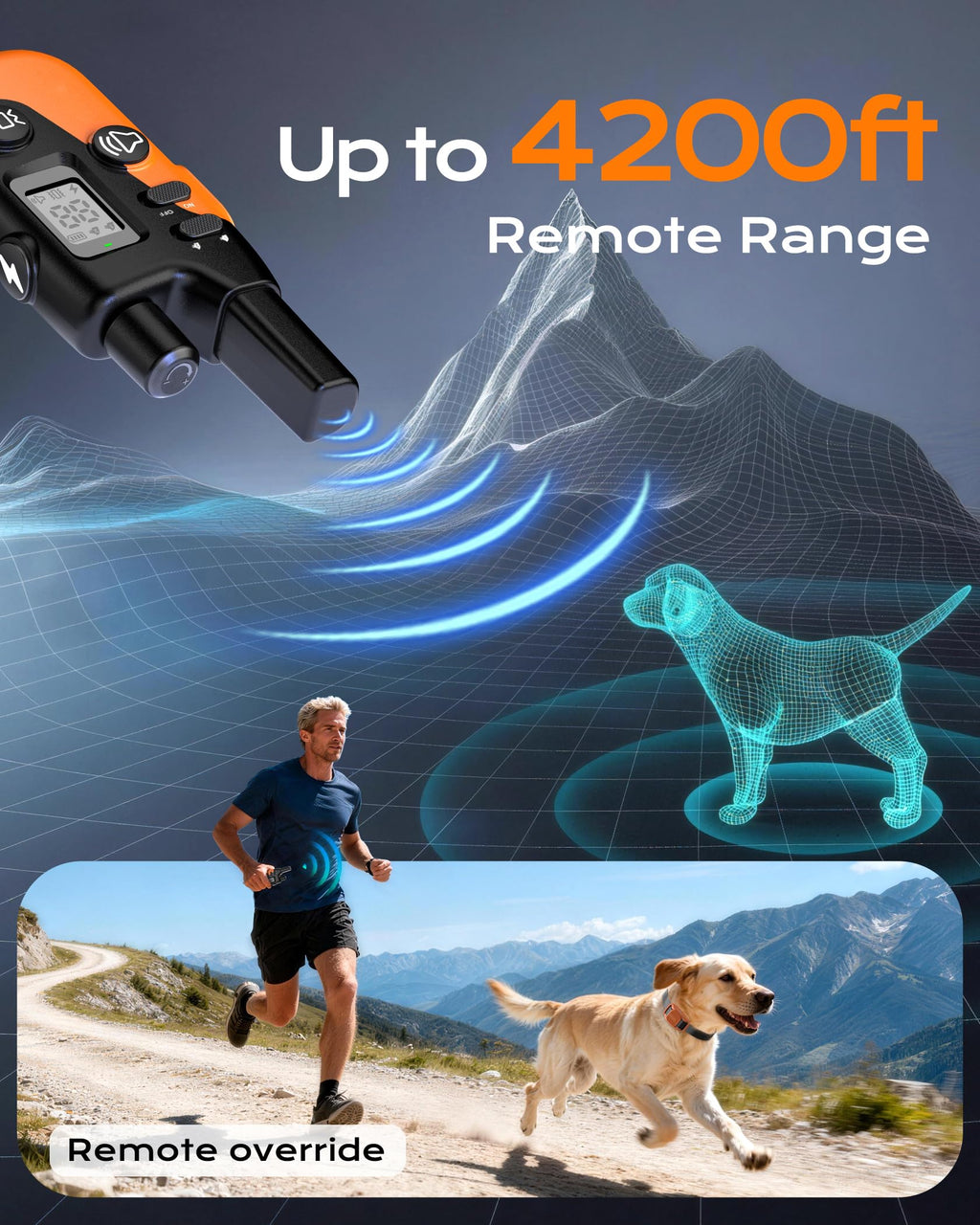 Dog Training Collar with Remote F7607