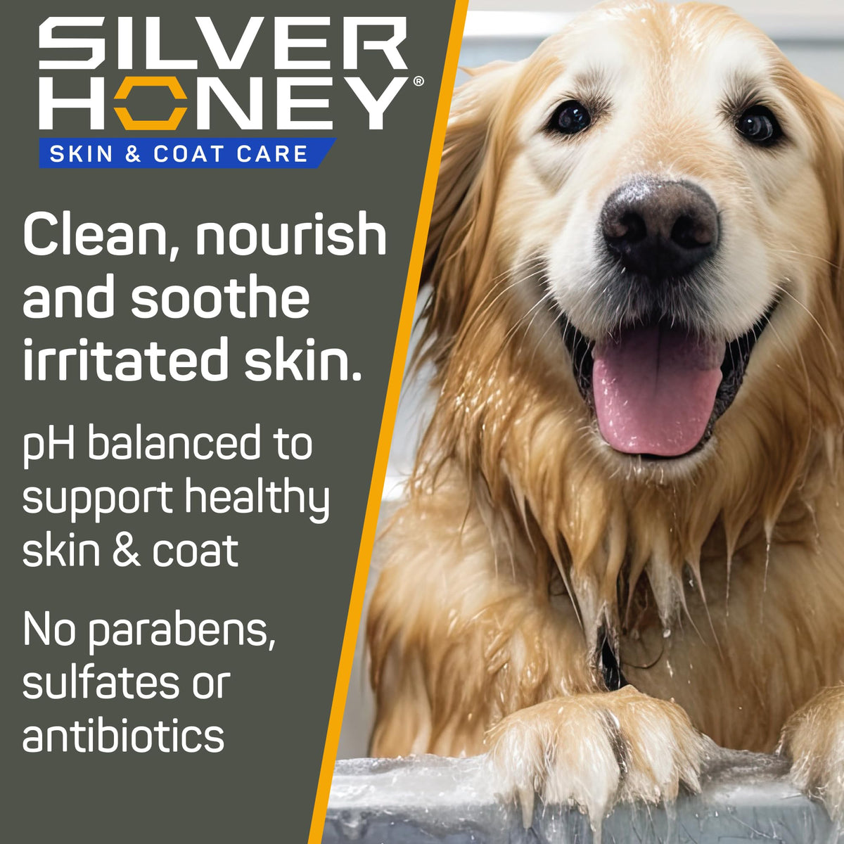 Silver Honey Skin & Coat Care Grooming 2pc Combo A43072