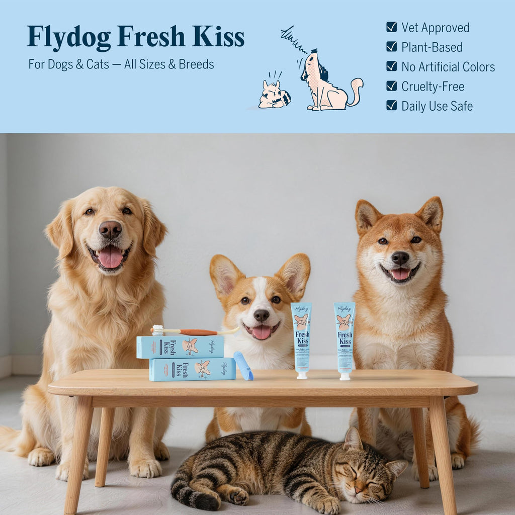 Dog Tooth Brushing Kit with 360° Toothbrush & Silicone Finger Brush X8542