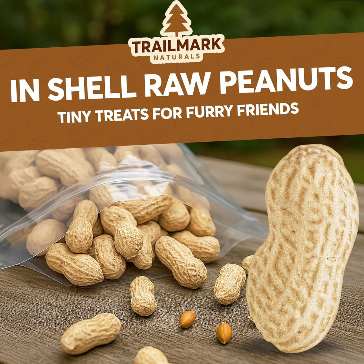 Raw Peanuts for Squirrels and Birds, 5 Pounds Total U380