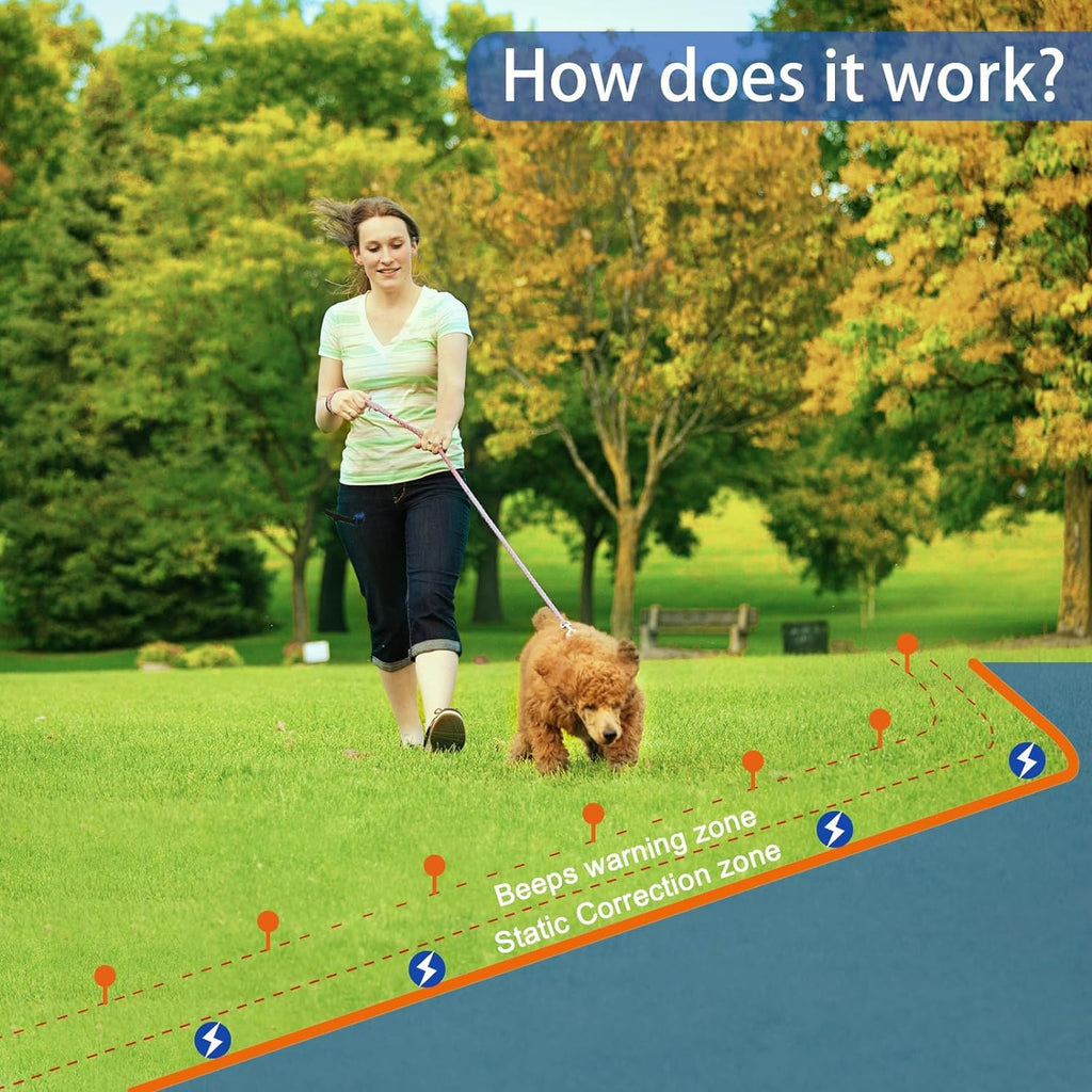 In-Ground Electric Dog Fence System with 2 Collars W520