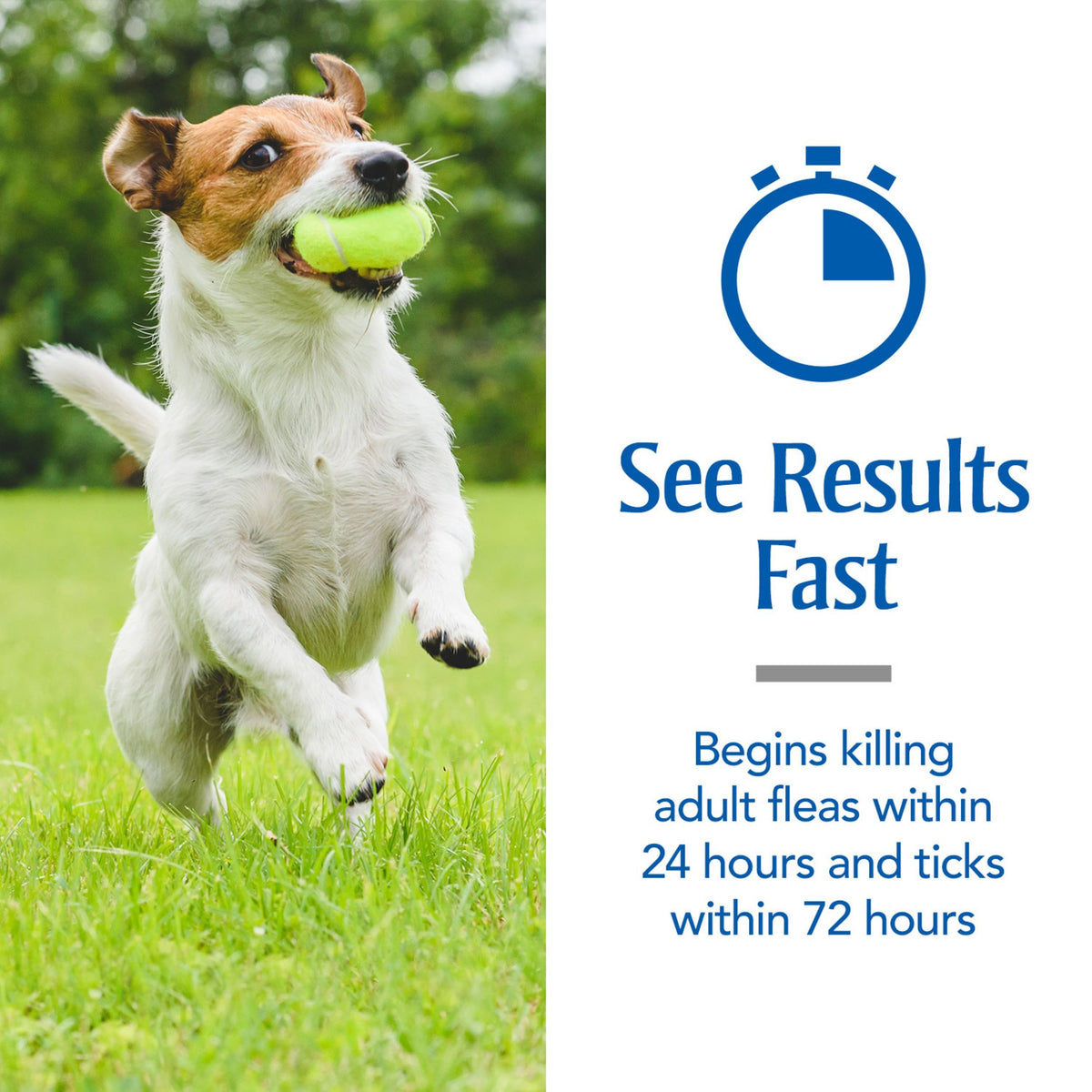 Flea & Tick Topical Dogs 5-22 lbs, Fipronil, 3-Month D99306