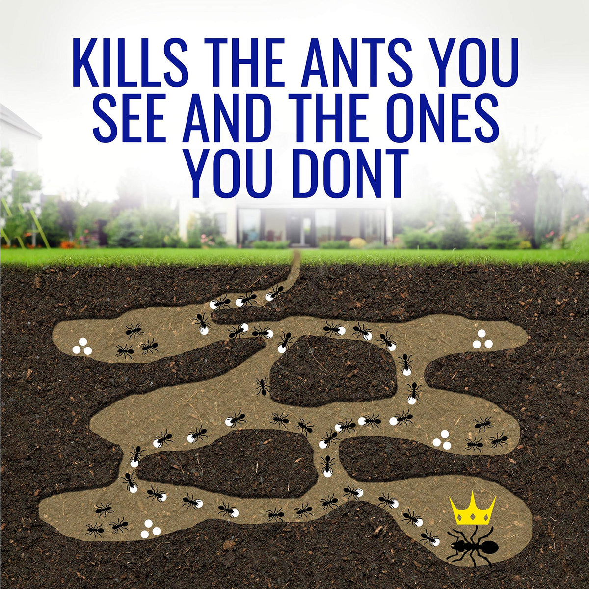 1 oz Liquid Ant Killer I7492