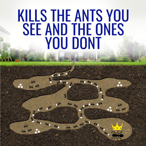 1 oz Liquid Ant Killer I7492
